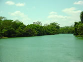 Belize 016 - 06/03/03 - Belize, River Wallace
