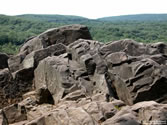 Sleeping Giant 012 - Sleeping Giant State Park / Mount Carmel (trap rock ridge system) - Hamden, Connecticut