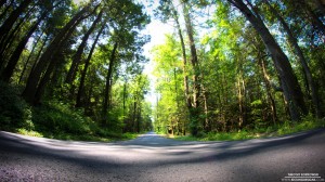 long-road-7-24-2012_hd-720p