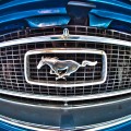 mustang-001_hd-720p