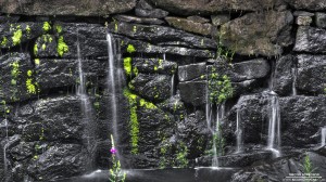 southford-state-park-8-7-2012_hd-720p