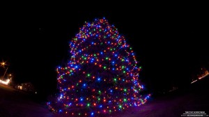 norfolk-christmas-tree-12-23-2012_hd-720p