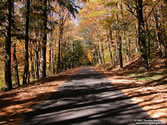 Haystack Mountain 01 - Haystack Mountain - Norfolk, CT