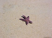 Ocean 019 - 4/14/03 - Misquamicut State Park - Westerly, Rhode Island