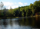 Outdoors 008 - People's Forest, Barkhamsted, CT