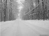 Outdoors 014 - During snow storm on 2/07/2003 - Harwinton, CT