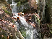 Outdoors 032 - 10-11-2004 - People's Forest, Barkhamsted, CT